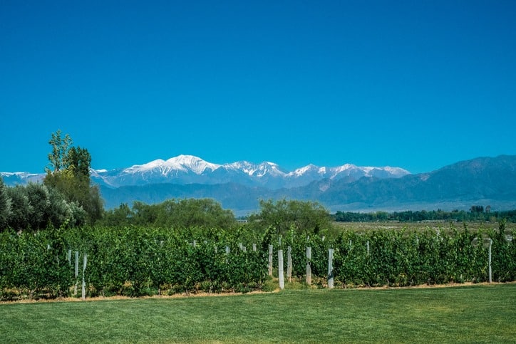 Scenic Landscape with Andes Mountains in Mendoza, Argentina