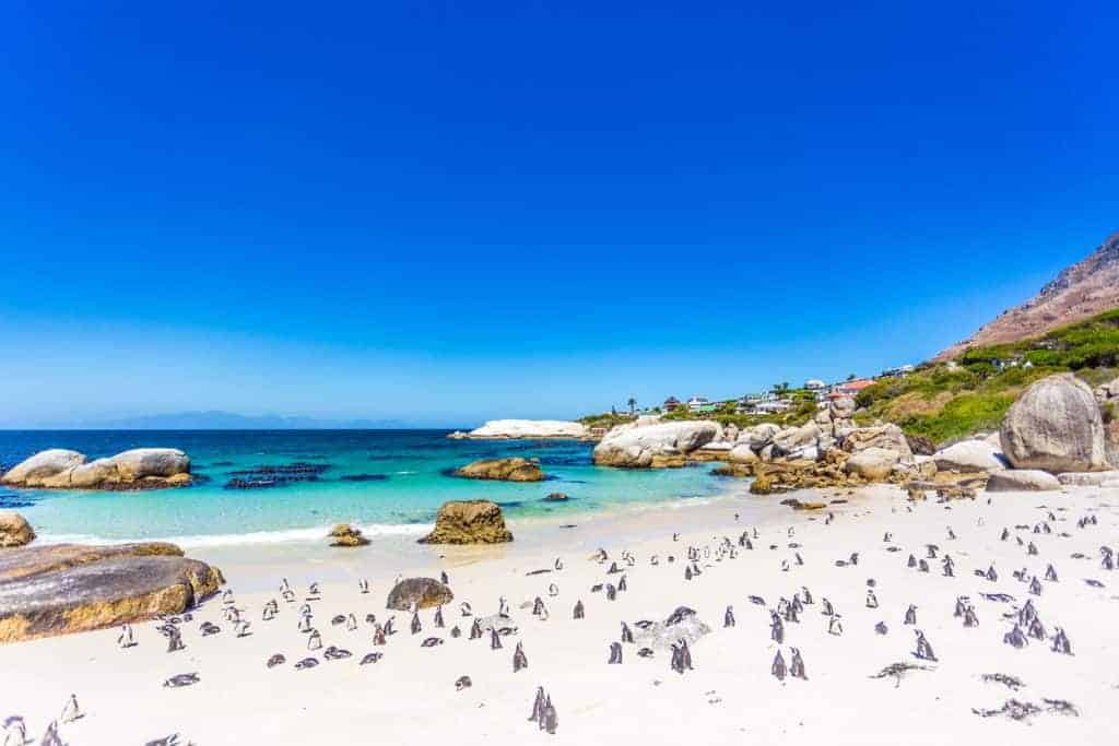 how-to-get-to-south-africa-with-points-miles