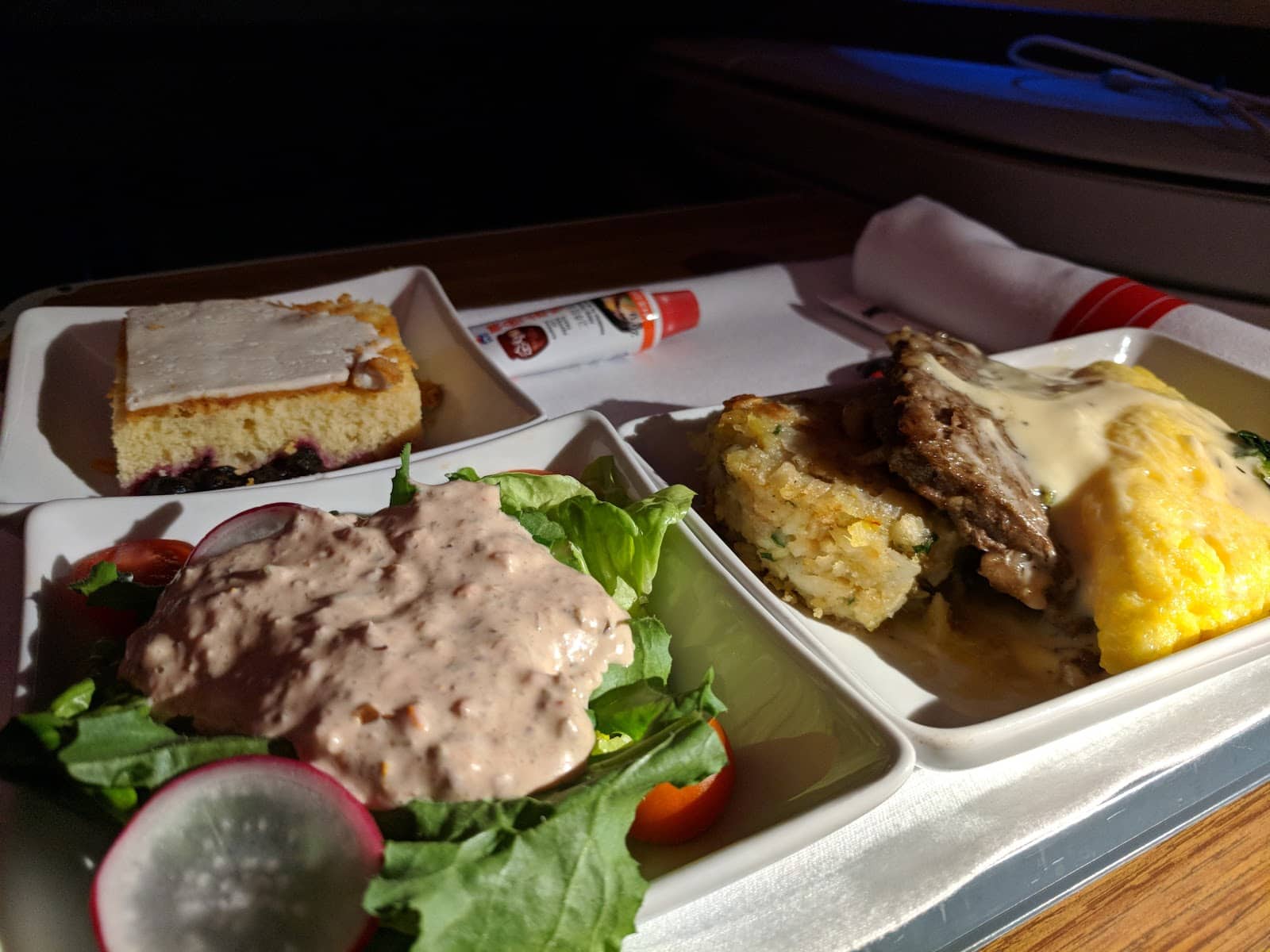 American Airlines Business Class Review Seoul to Dallas 10xTravel