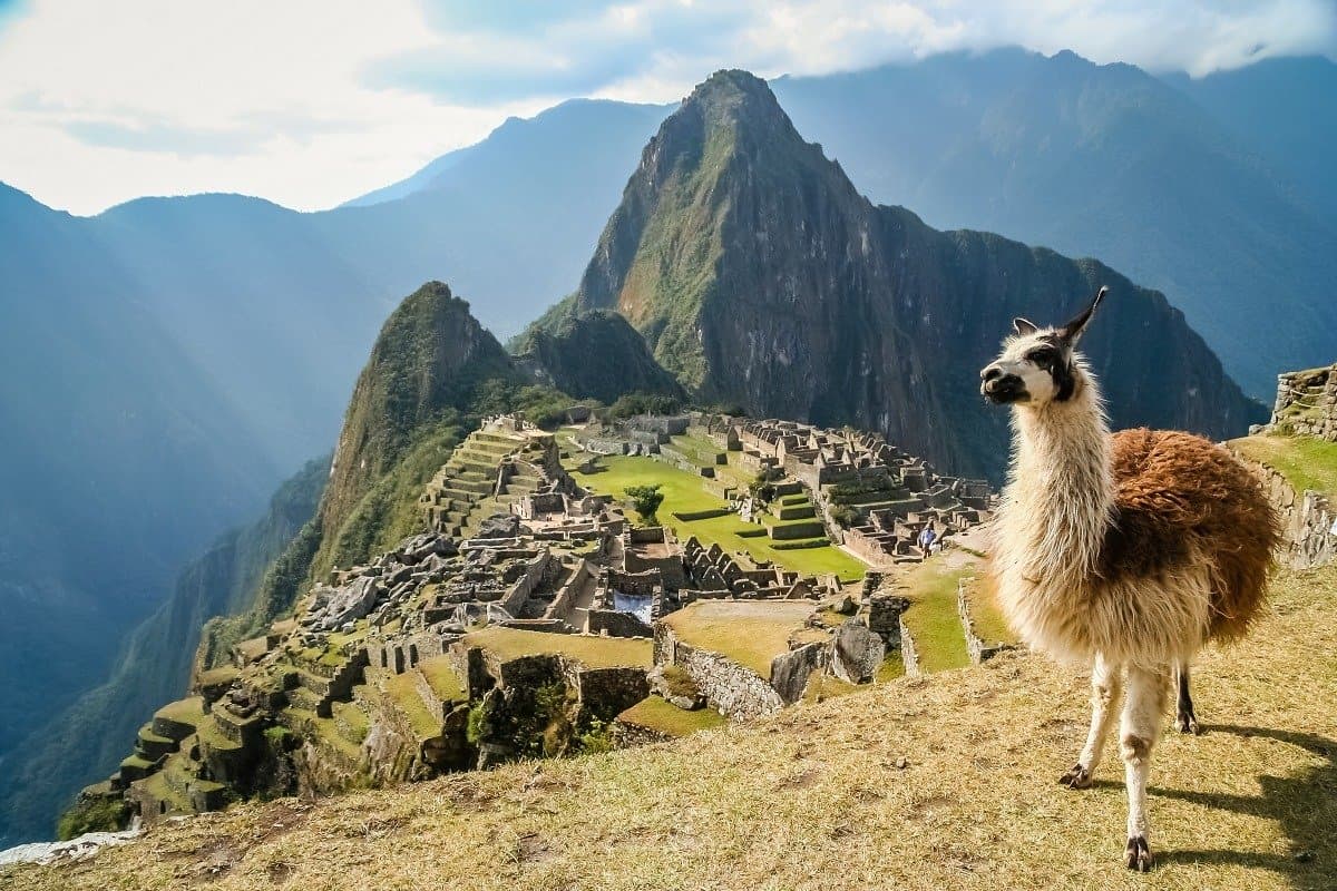 Two card trip to Peru-Lama and Machu Picchu