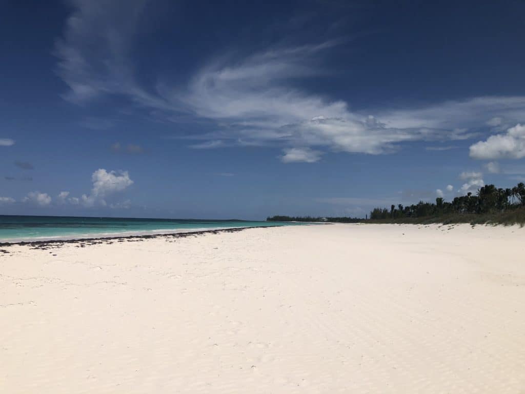 You'll struggle to find a soul in sight on the French Leave Beach