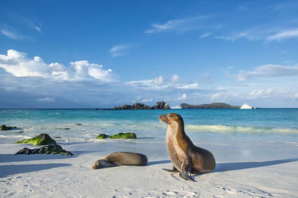 credit cards to use to go to Galapagos