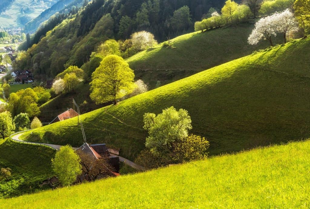 Black Forest Schwarzwald Baden-Württemberg Germany