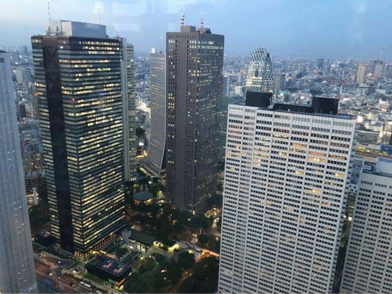 View from Tokyo Metropolitan Government Building