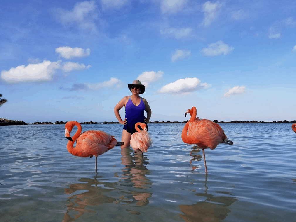 glamour shot with the flamingos Luxury in Costa Rica