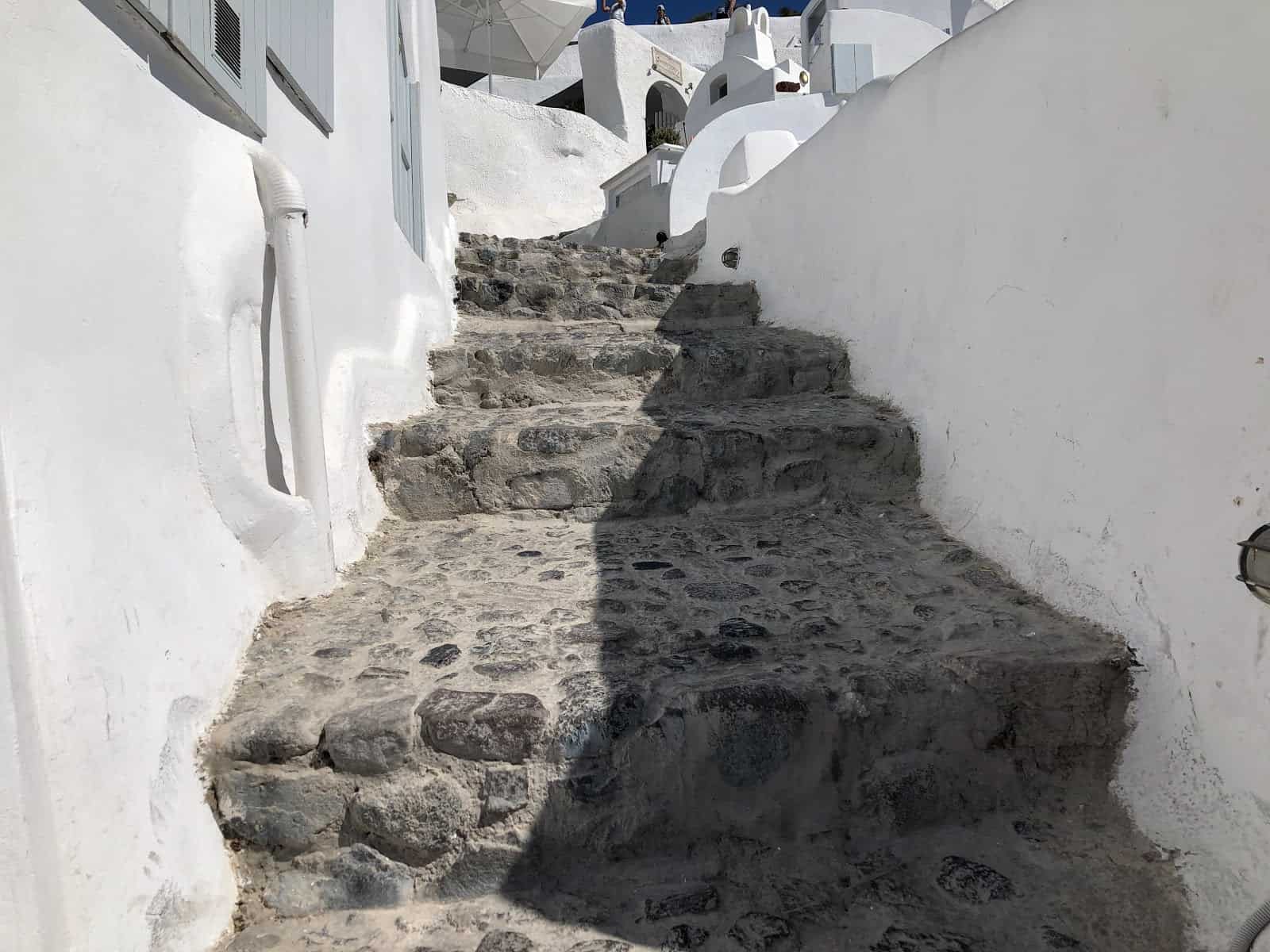 IMG 0235