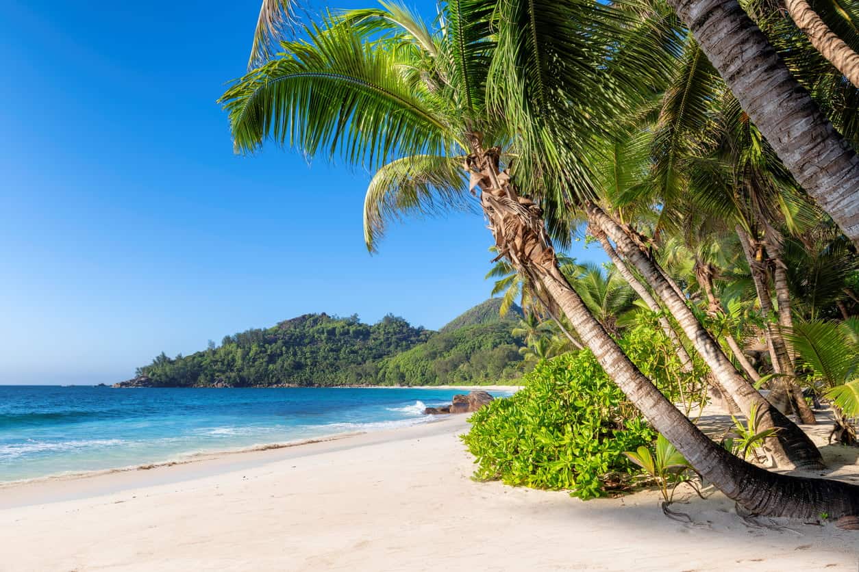 Tropical white sand beach with palm trees and clear blue ocean water under a sunny sky
