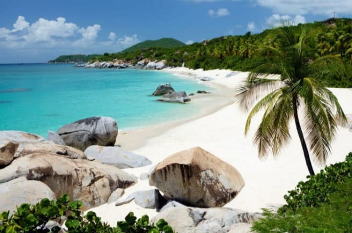 White sand beach and boulders and palm tree