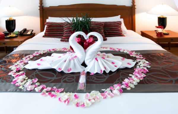Towel Origami