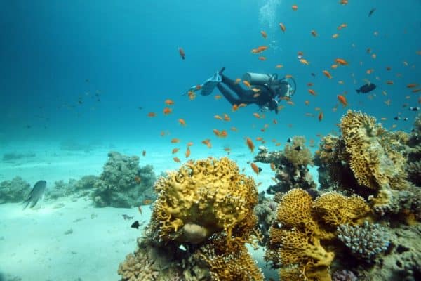 Sharm El Sheikh in the Red Sea