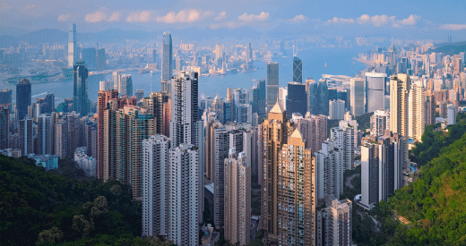 A panoramic view of a dense city skyline with tall modern skyscrapers, lush green hills in the foreground, and a large harbor dotted with more buildings in the background—perfect for those who love to travel miles for breathtaking points of interest.
