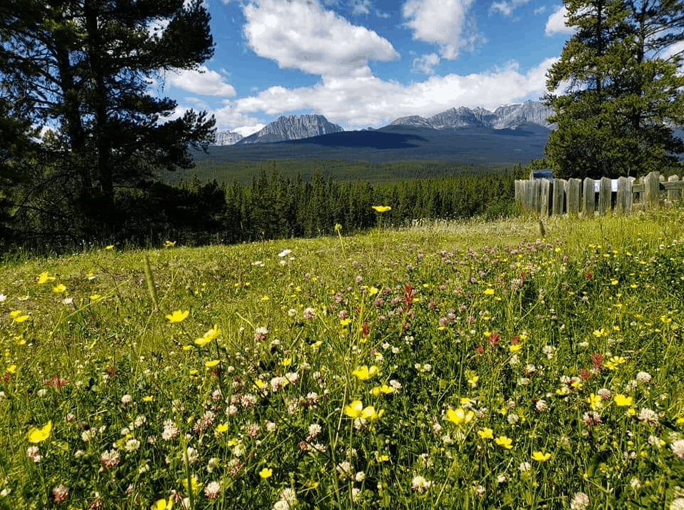 Banff National Park