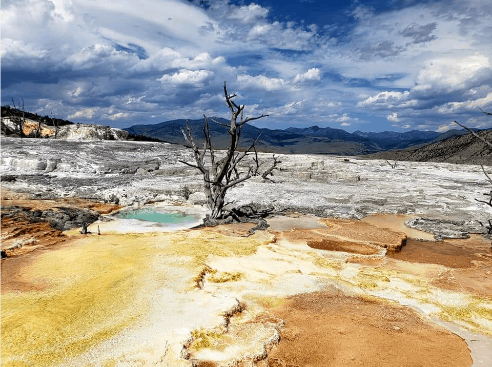 Mammoth Hot Springs