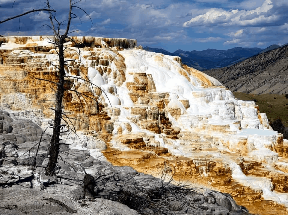 Mammoth Hot Springs