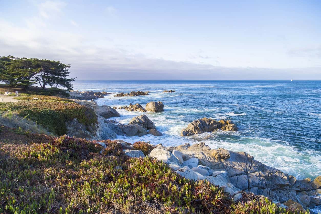 Monterey Bay view