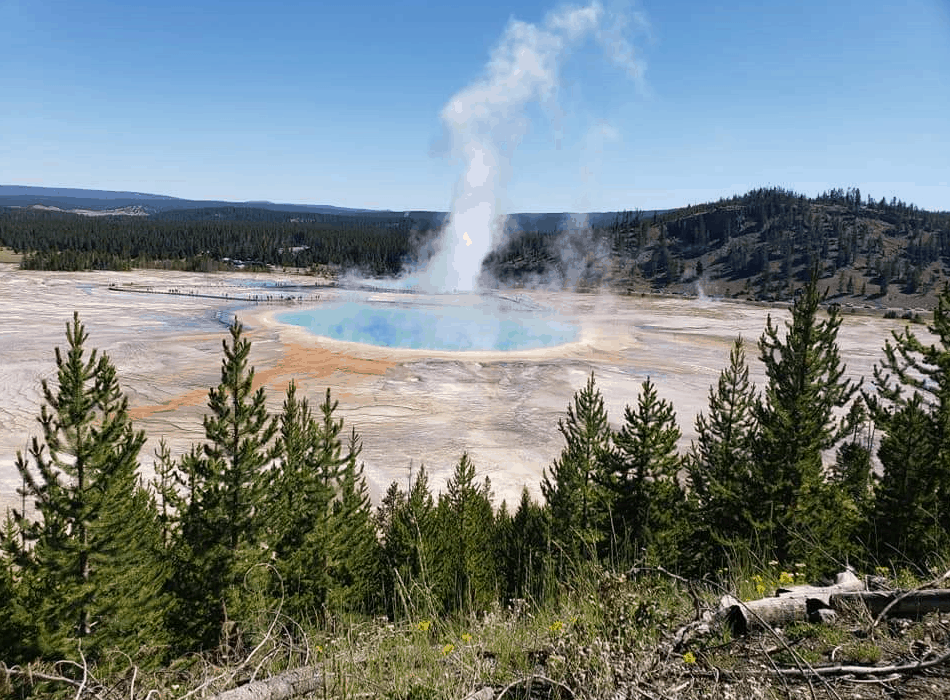 Morning Glory Pool in Yellowstone’s Upper Geyser Basin! Beautiful!