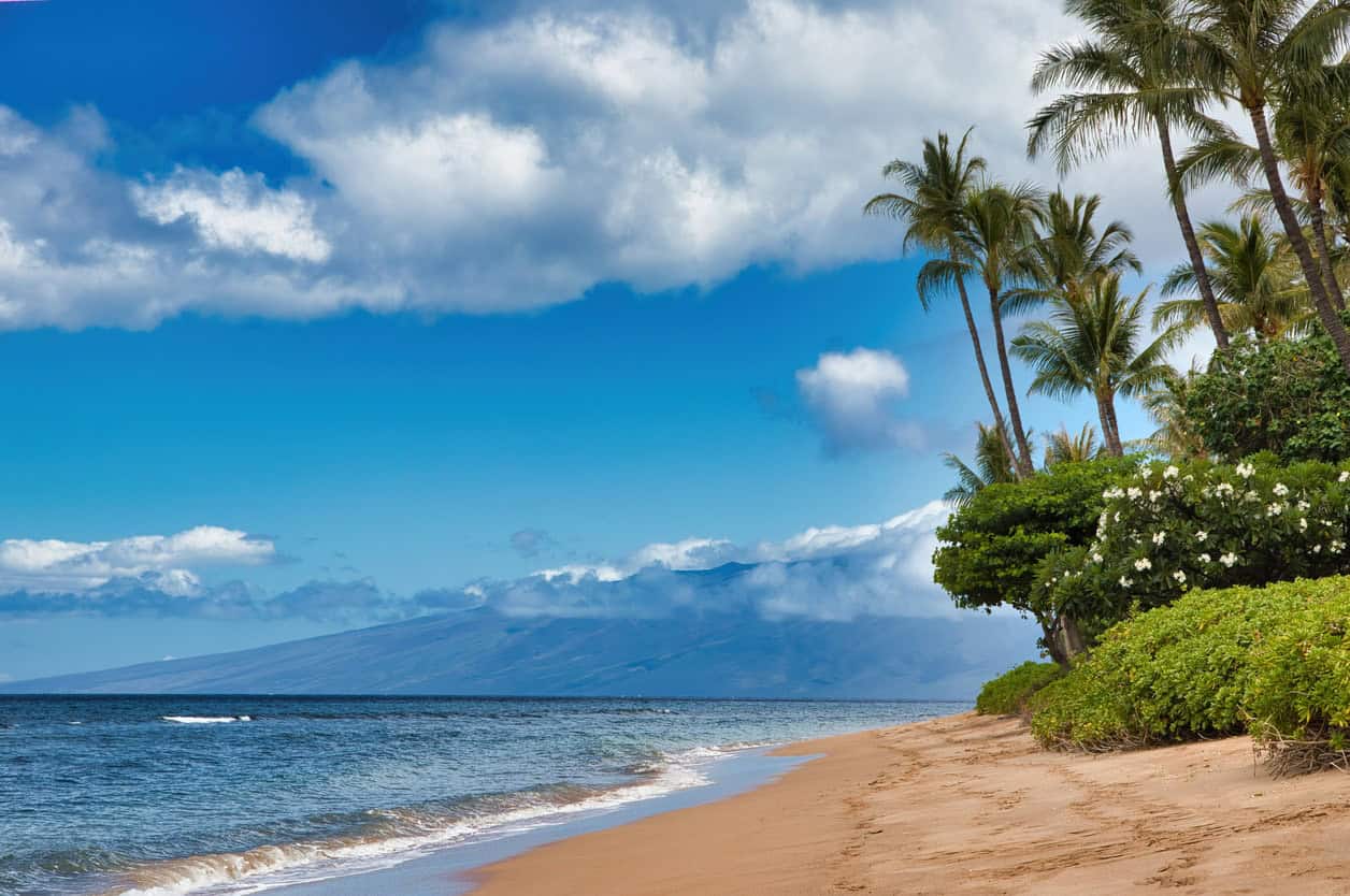 Sandy tropical beach with palm trees, ocean shoreline, and distant mountains under a bright blue sky with clouds
