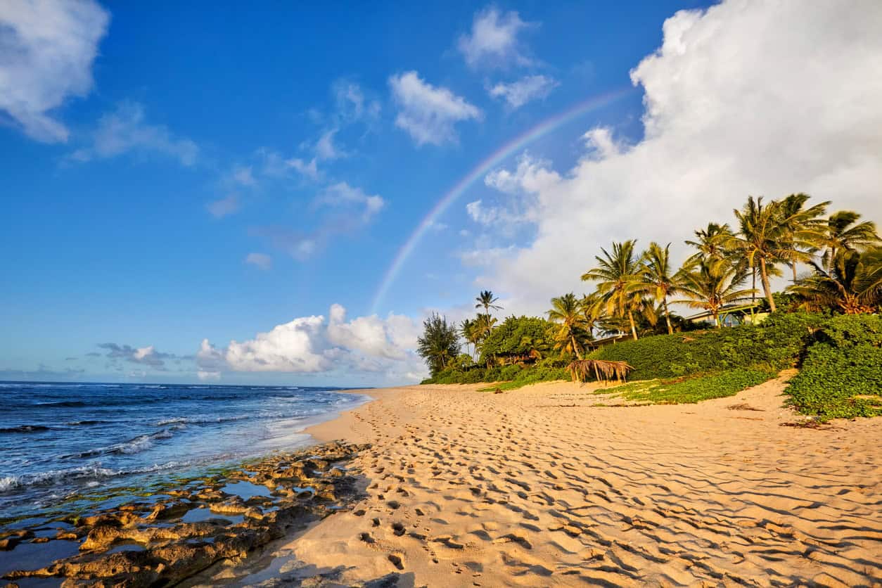 Tropical beach with palm trees and a rainbow over the ocean coastline under a bright blue sky