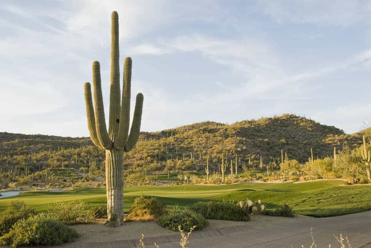 Dove Mountain, Tucson, Arizona