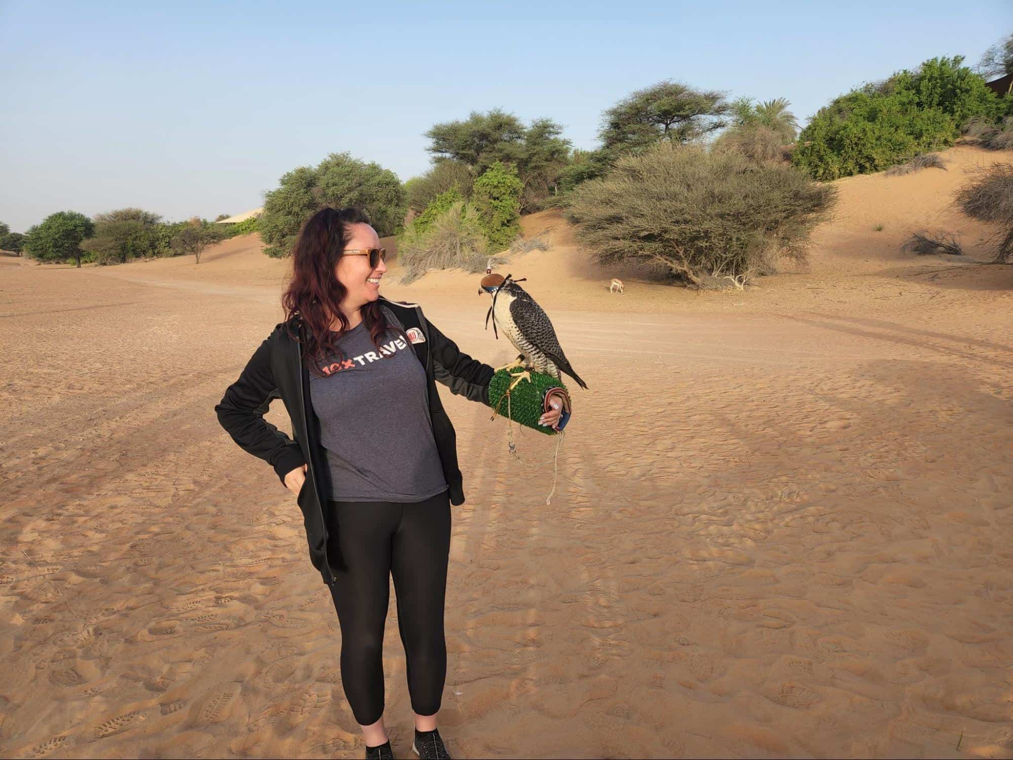 Falconry is one of the morning activities at Al Maha