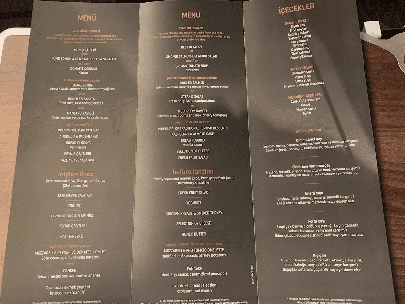 Istanbul to Budapest Flight menu