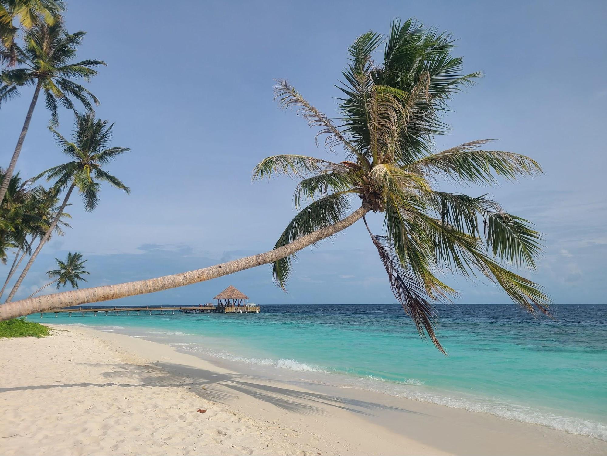 Reethi Faru Resort in Raa Atoll, Maldives