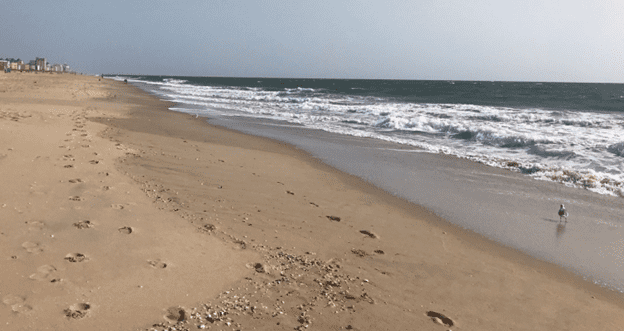 Ocean City beach looking