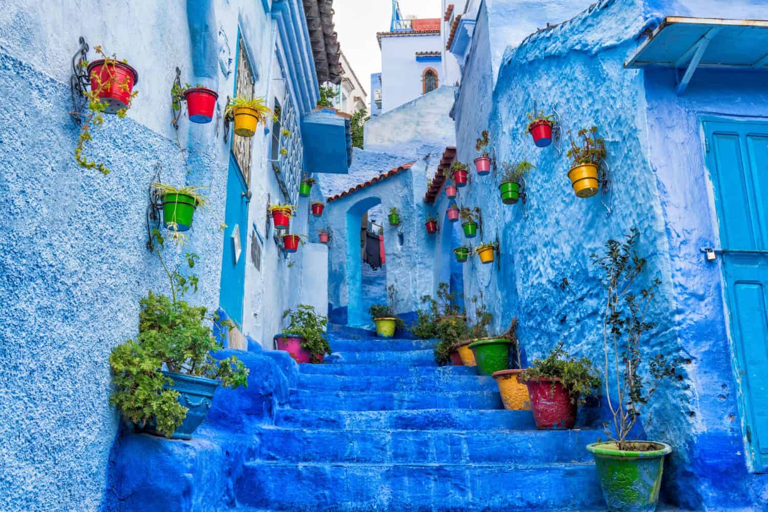 Narrow blue-painted street with stairs in Chefchaouen, Morocco, lined with vibrant potted plants in colorful containers on the walls and steps, creating a lively, picturesque atmosphere.