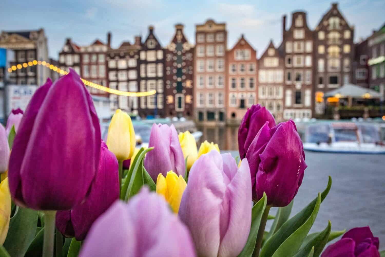 Amsterdam in Spring
