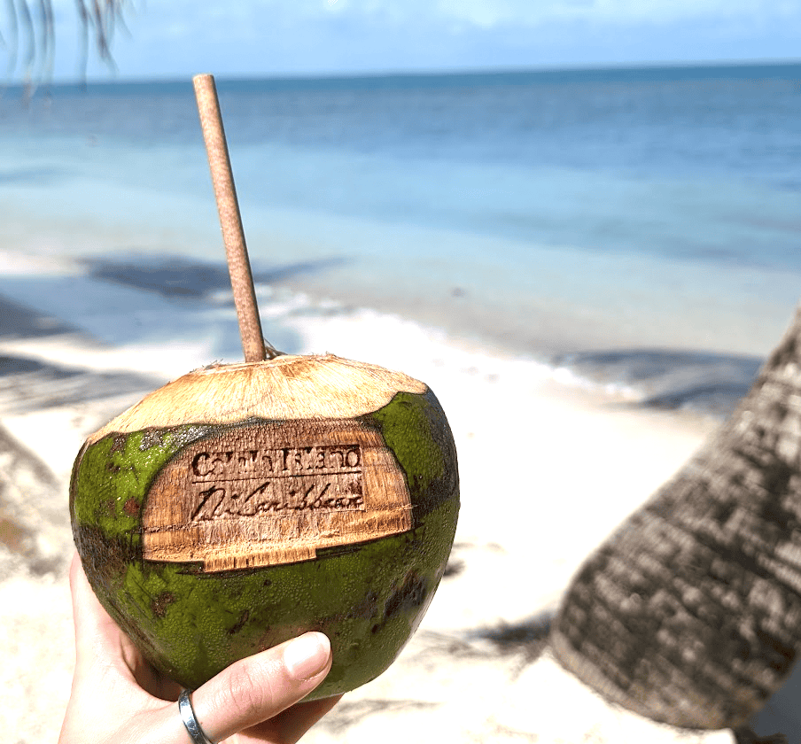 Calala Island check in