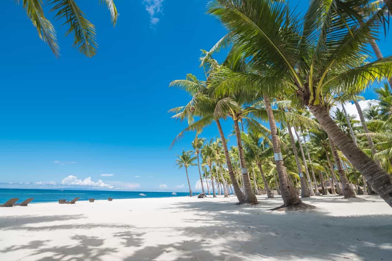 White sandy beach with tall palm trees and clear blue sky in Bohol, Philippines