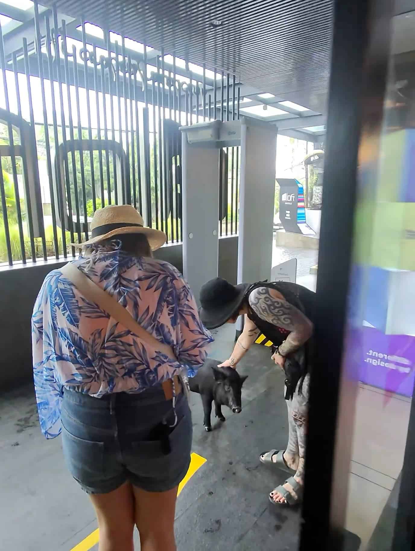 Guests interacting with a small black pig at the entrance of Aloft Bali Seminyak