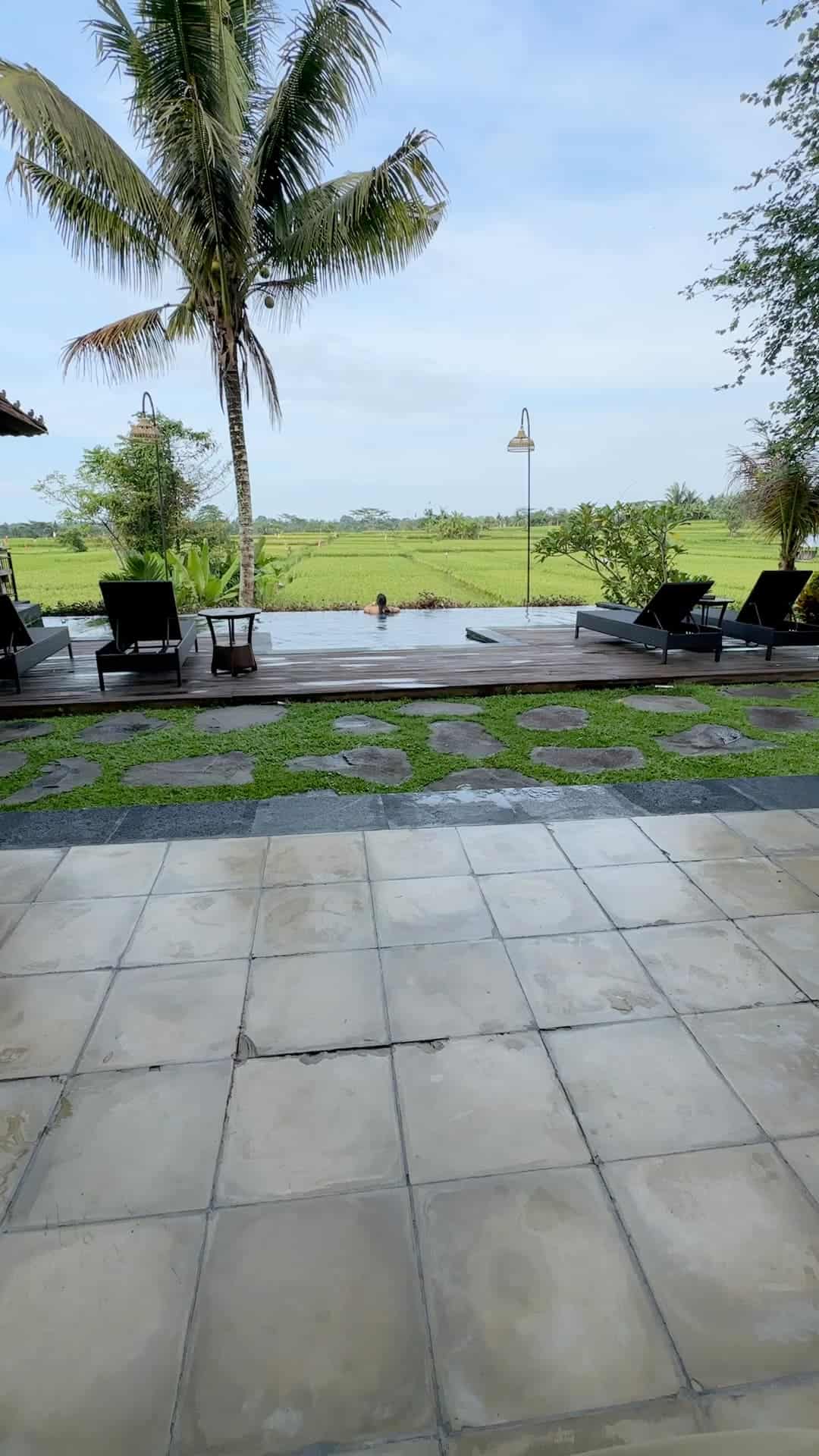 Infinity pool with lounge chairs overlooking peaceful rice fields and palm trees in Bali