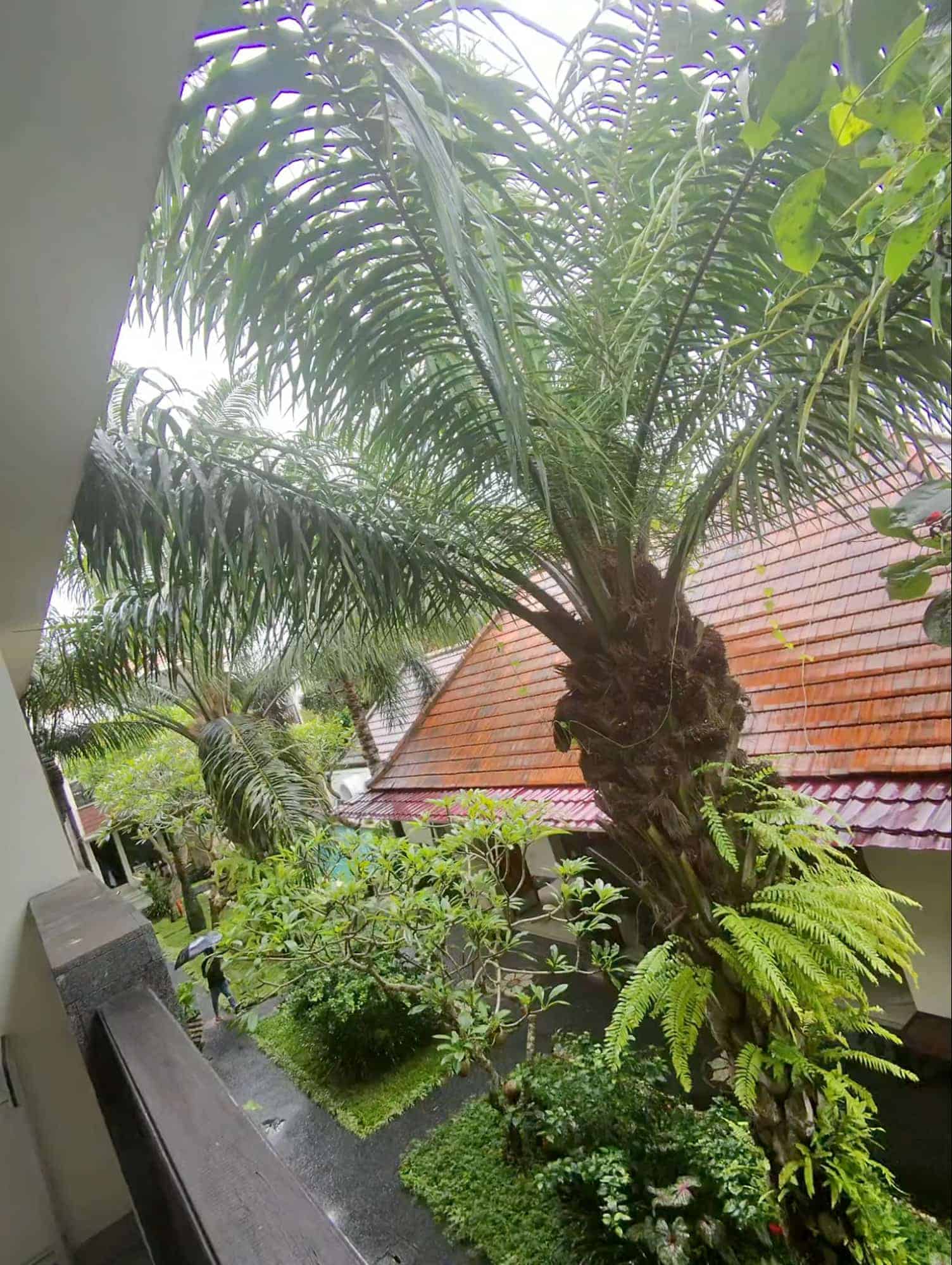 Balcony view overlooking lush tropical garden at Utube Hotel and Spa Bali