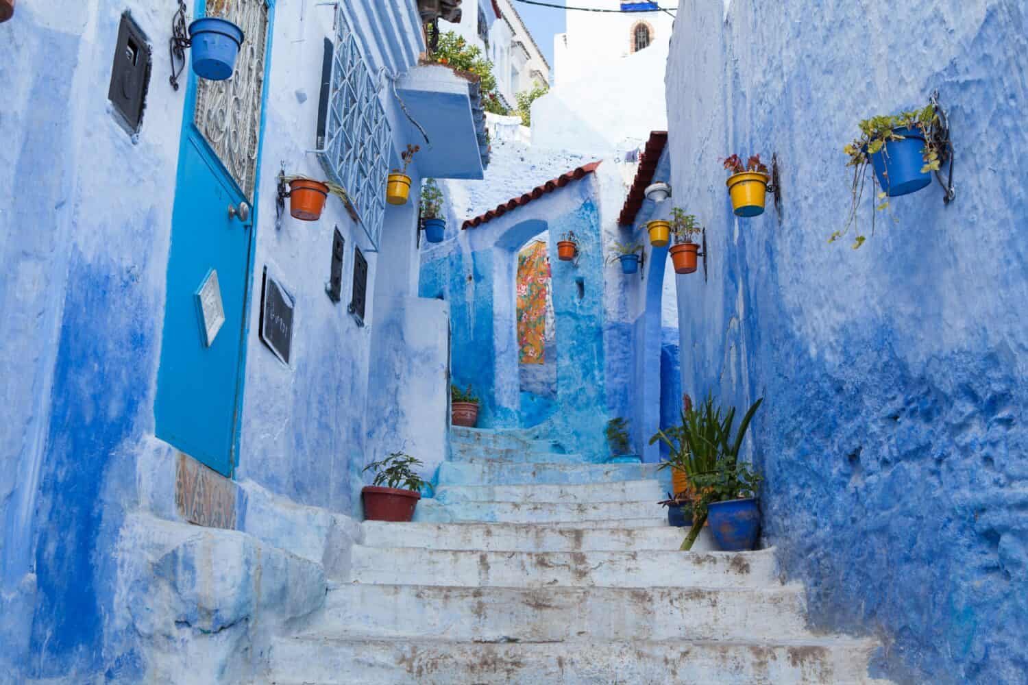 A narrow alleyway with blue-painted walls and white stone steps, lined with colorful potted plants hanging and sitting along the sides, in Chefchaouen, Morocco.