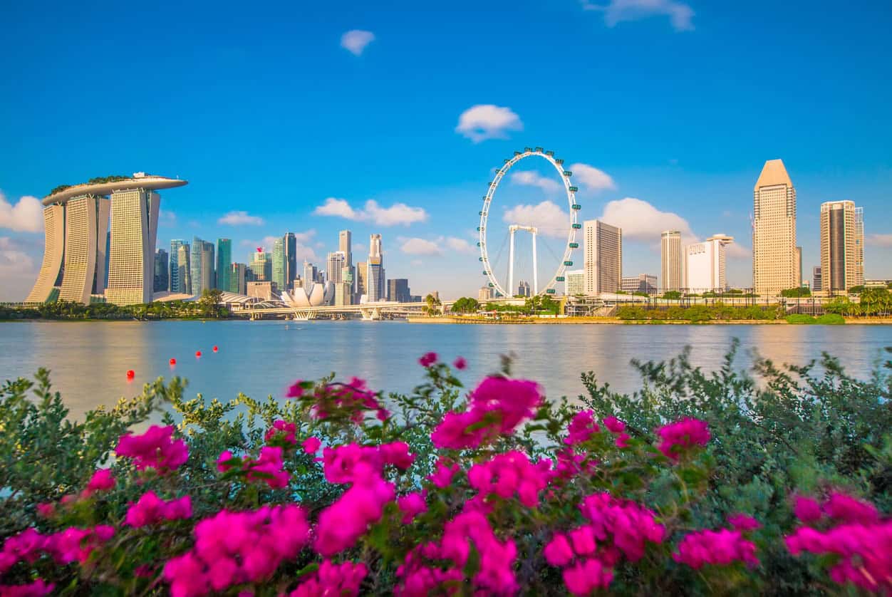 Singapore skyline at Marina Bay with Marina Bay Sands, Singapore Flyer, and waterfront flowers