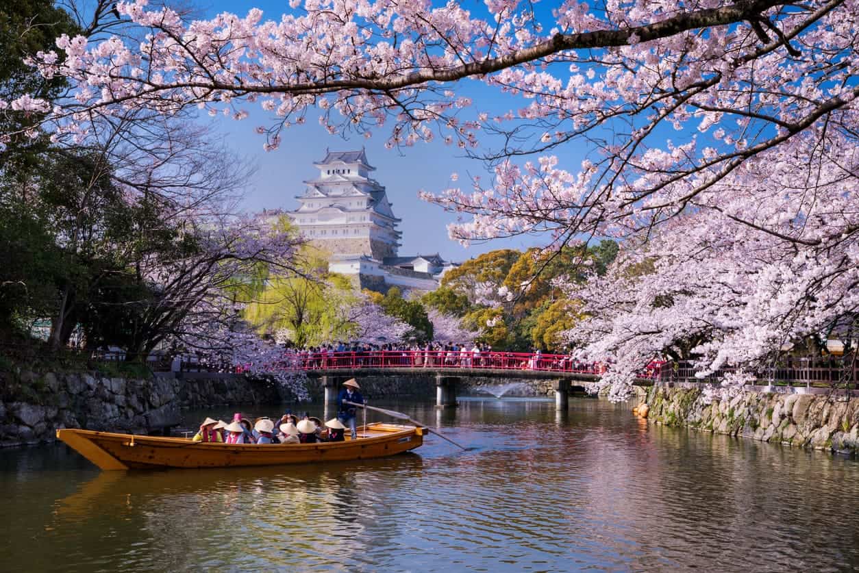 Himeji Castle surrounded by cherry blossoms with traditional boat on river during sakura season in Japan