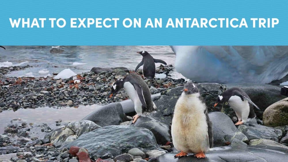What to Expect on an Antarctica Trip